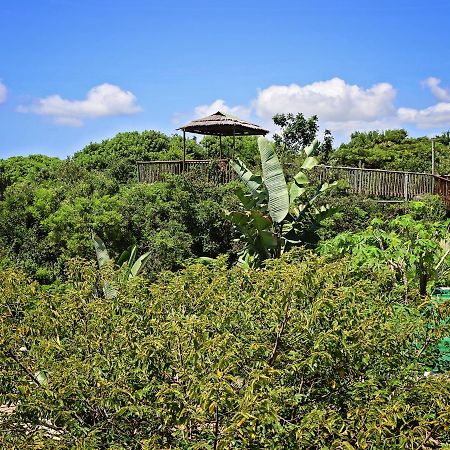 Kosi Bay Lodge Manguzi Kültér fotó
